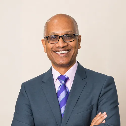 Portrait of Rostow Ravanan, Independent Director